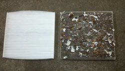 photo of clean vs. dirty cabin filter